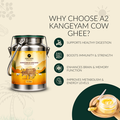Hayyan A2 Pure Kangeyam Cow Ghee 5 Litre (Dholchi)