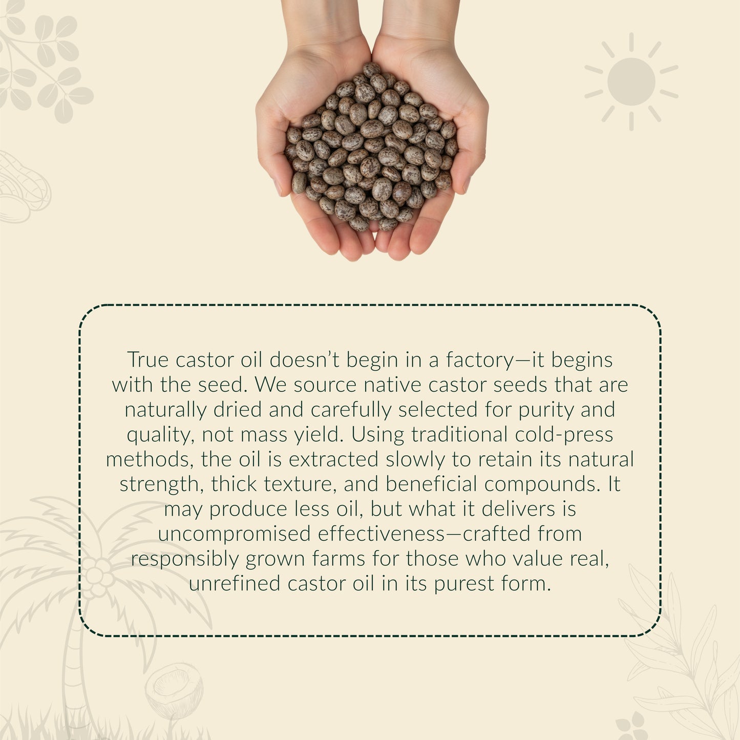 HAYYAN Cold Pressed Virgin Castor Oil - for Healthy Hair , Skin & Cooking - 500 ml