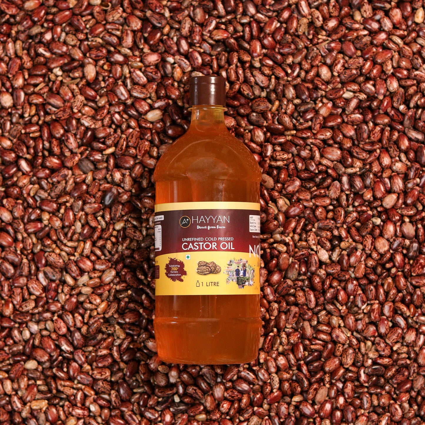 HAYYAN Cold Pressed Virgin Castor Oil - for Healthy Hair , Skin & Cooking - 1 Litre