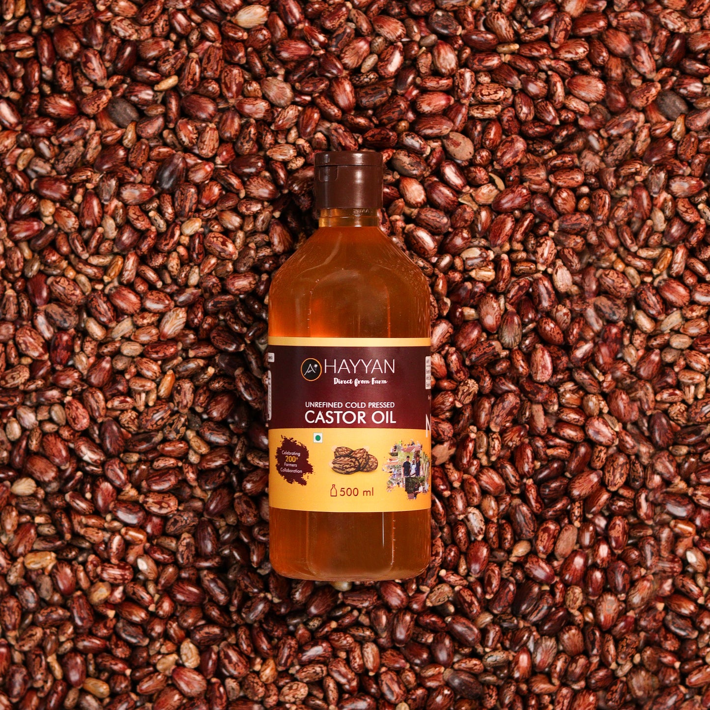 HAYYAN Cold Pressed Virgin Castor Oil - for Healthy Hair , Skin & Cooking - 500 ML
