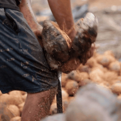 Dehusking & Copra Preparation